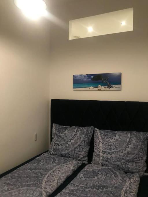Klimatisierte Sehr Zentrale Wohnung-Loftstyle- 维也纳 外观 照片