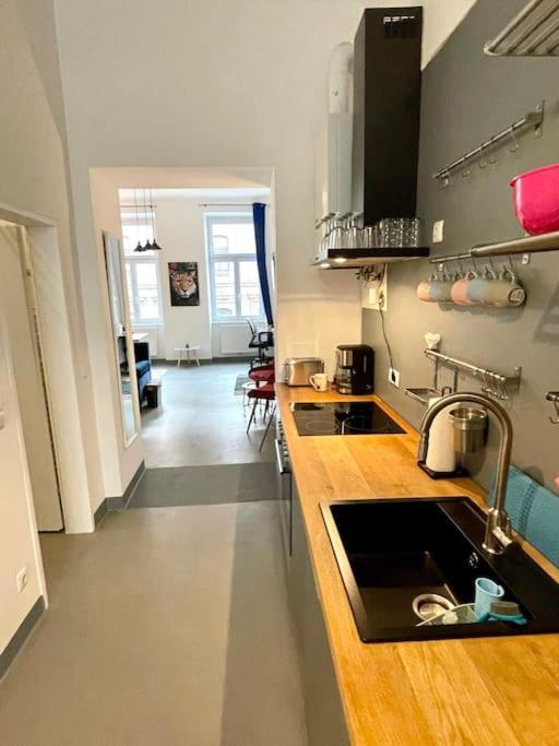 Klimatisierte Sehr Zentrale Wohnung-Loftstyle- 维也纳 外观 照片